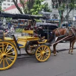 Kereta Kuda Sewaan seperti Dokar di Yogyakarta