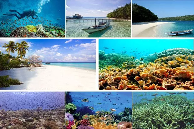 wilayah Indonesia yang memiliki terumbu karang untuk objek wisata adalah