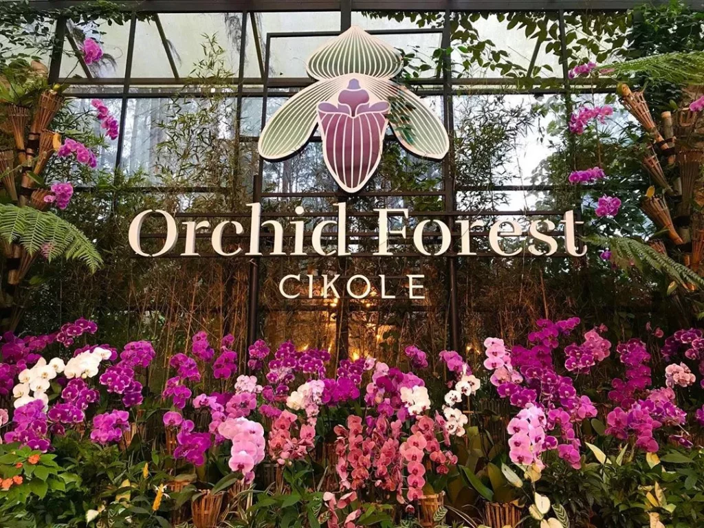 tiket masuk Orchid Forest Cikole